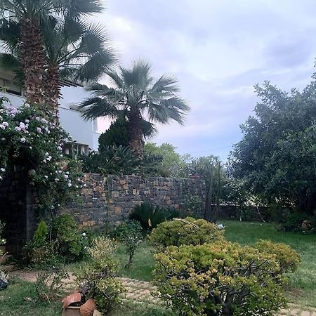 Ammoudi Hideaway Lägenhet Agios Nikolaos Exteriör bild
