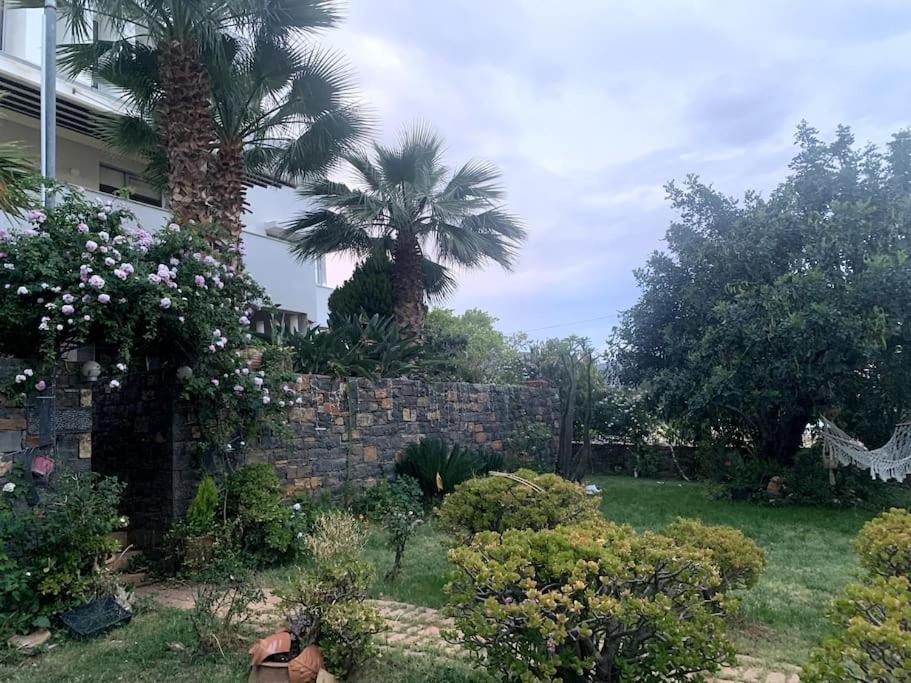 Ammoudi Hideaway Lägenhet Agios Nikolaos Exteriör bild